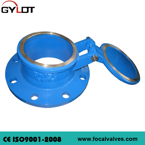 Cast Iron Flap Valve