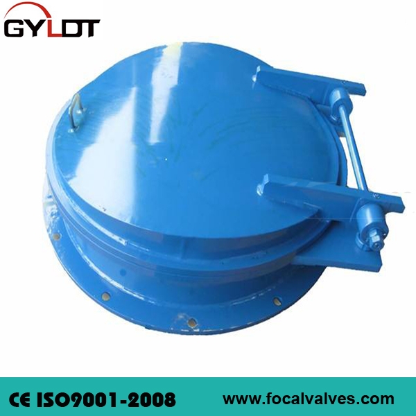 Steel Flap Check Valve