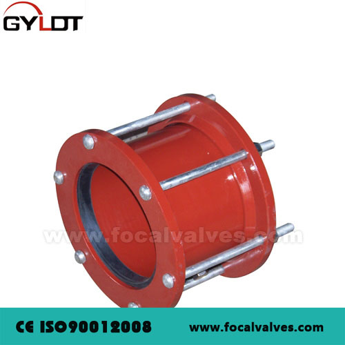 Flexible Coupling